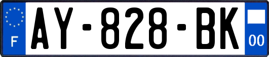 AY-828-BK