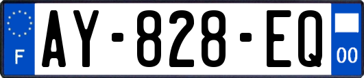 AY-828-EQ