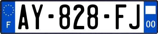 AY-828-FJ