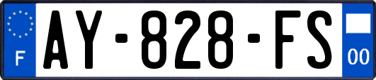 AY-828-FS