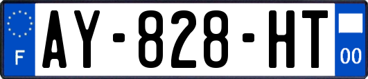 AY-828-HT