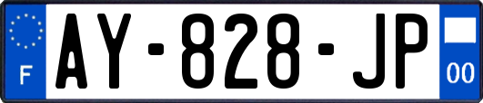 AY-828-JP