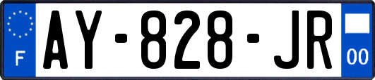 AY-828-JR