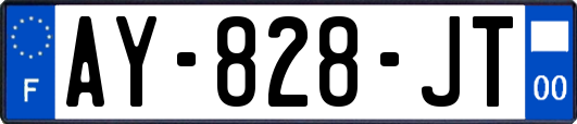 AY-828-JT