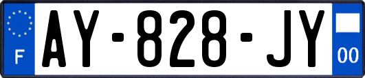 AY-828-JY