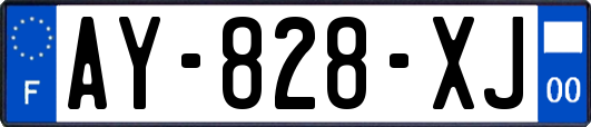 AY-828-XJ