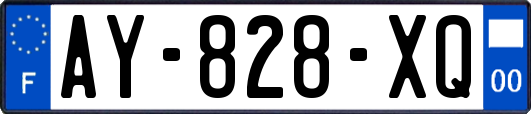 AY-828-XQ
