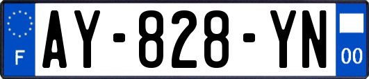 AY-828-YN
