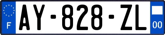 AY-828-ZL