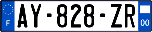 AY-828-ZR