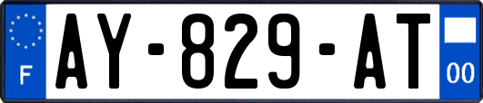 AY-829-AT