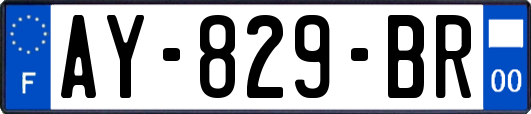 AY-829-BR