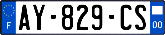 AY-829-CS