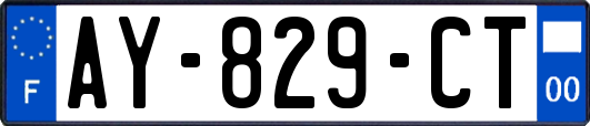 AY-829-CT