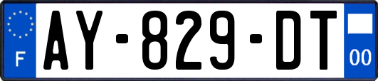 AY-829-DT