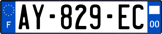 AY-829-EC