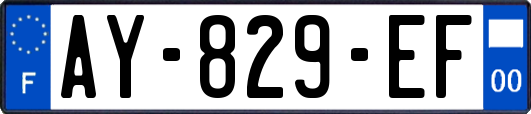 AY-829-EF