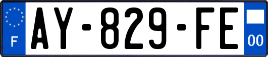 AY-829-FE