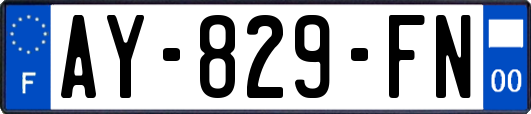 AY-829-FN