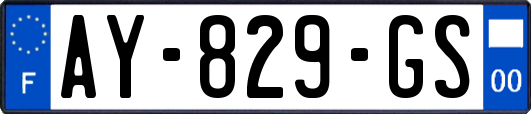 AY-829-GS