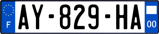 AY-829-HA
