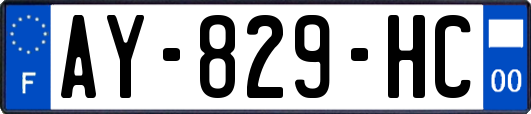 AY-829-HC