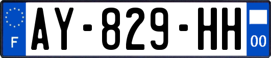 AY-829-HH