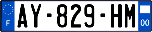 AY-829-HM