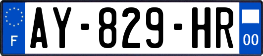 AY-829-HR
