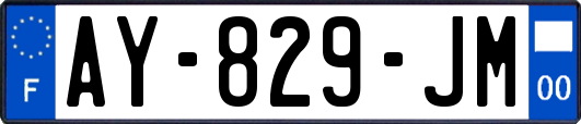 AY-829-JM