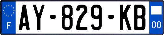 AY-829-KB