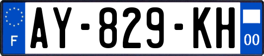 AY-829-KH