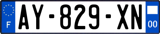 AY-829-XN