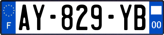 AY-829-YB
