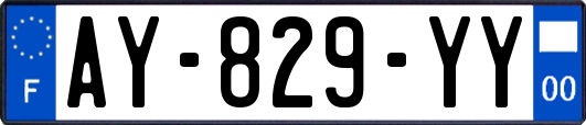 AY-829-YY