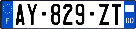 AY-829-ZT