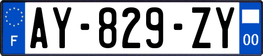 AY-829-ZY