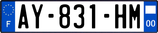 AY-831-HM