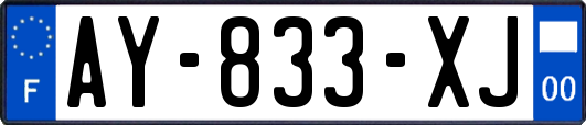 AY-833-XJ