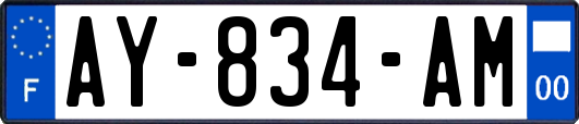 AY-834-AM