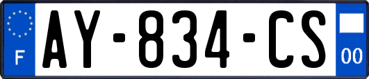 AY-834-CS