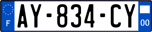 AY-834-CY
