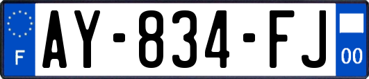 AY-834-FJ