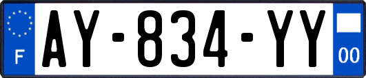 AY-834-YY