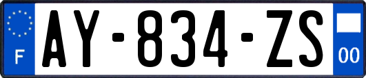AY-834-ZS