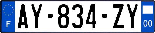 AY-834-ZY