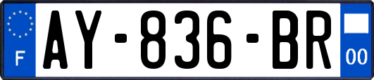 AY-836-BR