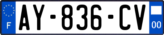 AY-836-CV