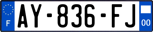 AY-836-FJ