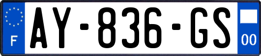 AY-836-GS